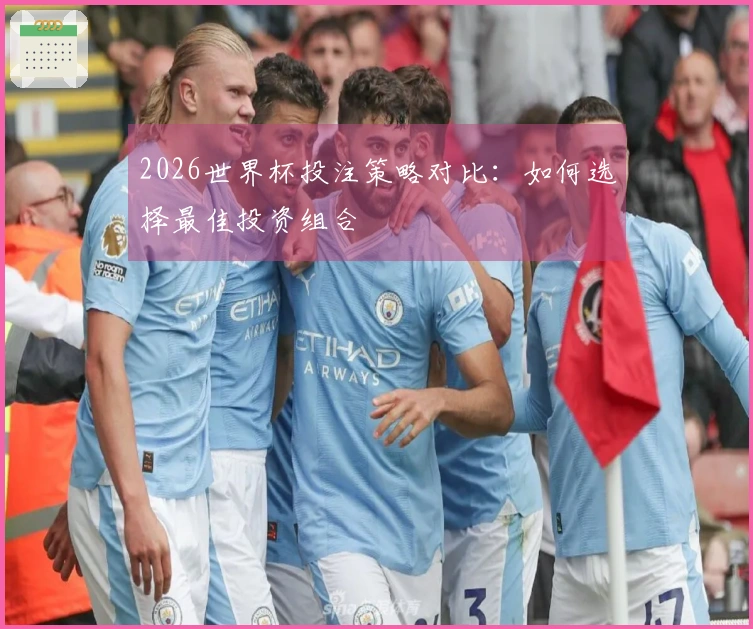 2026世界杯投注策略对比：如何选择最佳投资组合