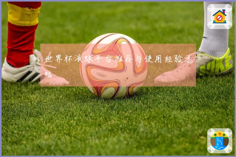 世界杯滚球平台推荐与使用经验总结