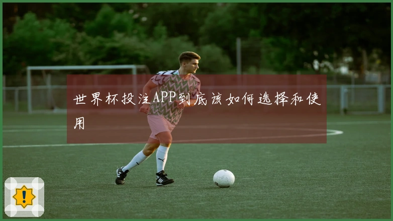 世界杯投注APP到底该如何选择和使用