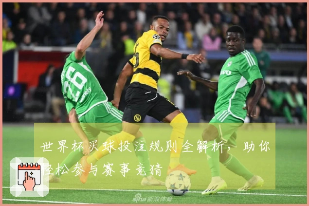 世界杯买球投注规则全解析，助你轻松参与赛事竞猜