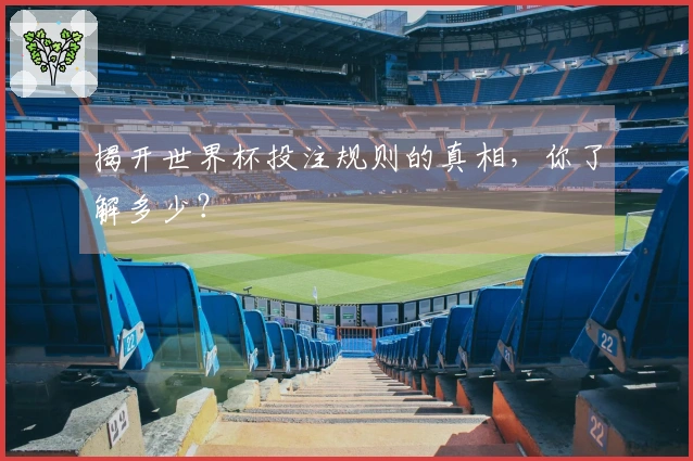 揭开世界杯投注规则的真相，你了解多少？