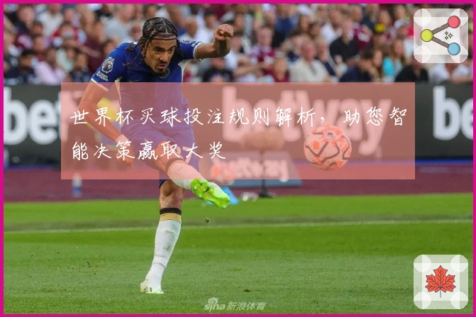 世界杯买球投注规则解析，助您智能决策赢取大奖