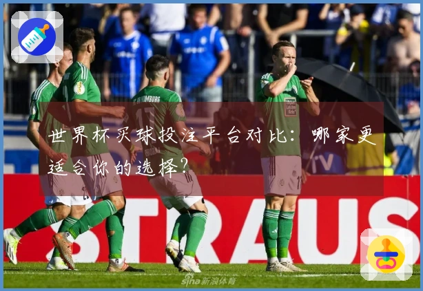 世界杯买球投注平台对比：哪家更适合你的选择？