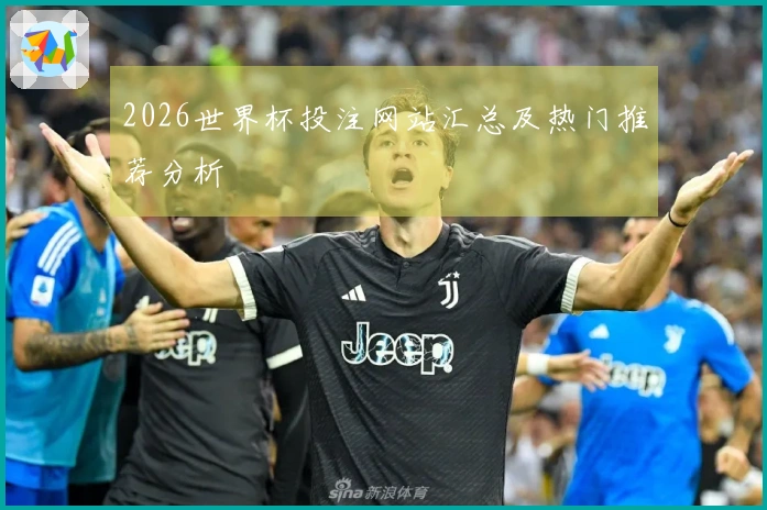 2026世界杯投注网站汇总及热门推荐分析