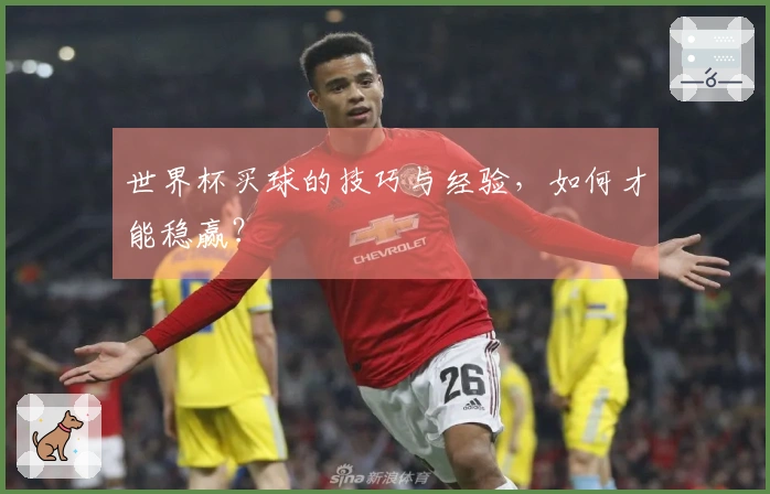 世界杯买球的技巧与经验，如何才能稳赢？