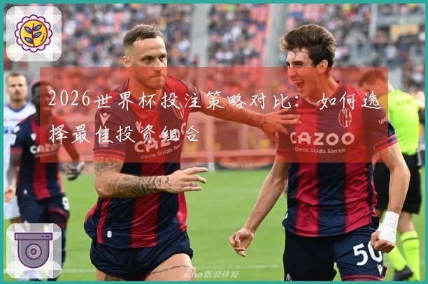 2026世界杯投注策略对比：如何选择最佳投资组合