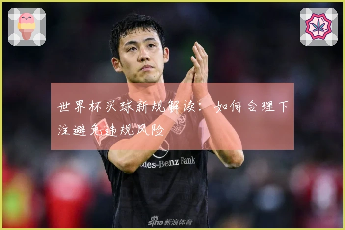 世界杯买球新规解读：如何合理下注避免违规风险