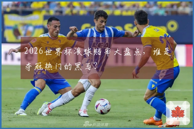 2026世界杯滚球赔率大盘点，谁是夺冠热门的黑马？