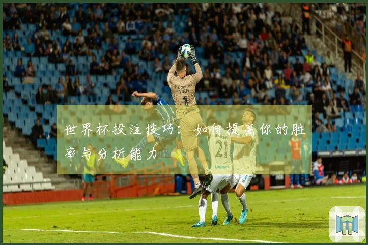 世界杯投注技巧：如何提高你的胜率与分析能力