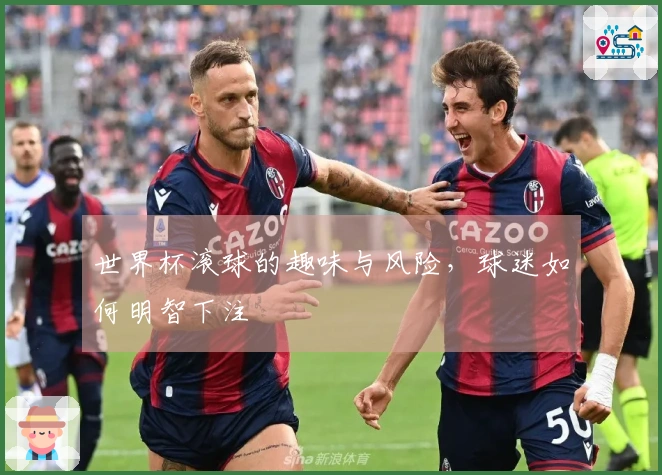 世界杯滚球的趣味与风险，球迷如何明智下注