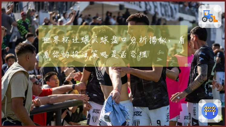 世界杯让球买球盘口分析揭秘，看看你的投注策略是否合理