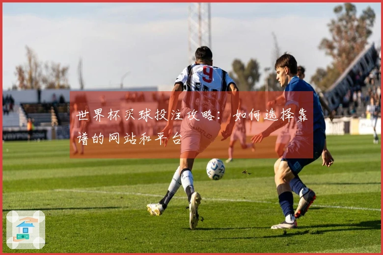 世界杯买球投注攻略：如何选择靠谱的网站和平台