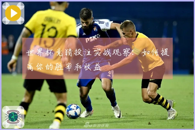 世界杯竞猜投注实战观察：如何提高你的胜率和收益