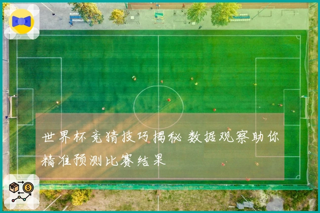 世界杯竞猜技巧揭秘 数据观察助你精准预测比赛结果