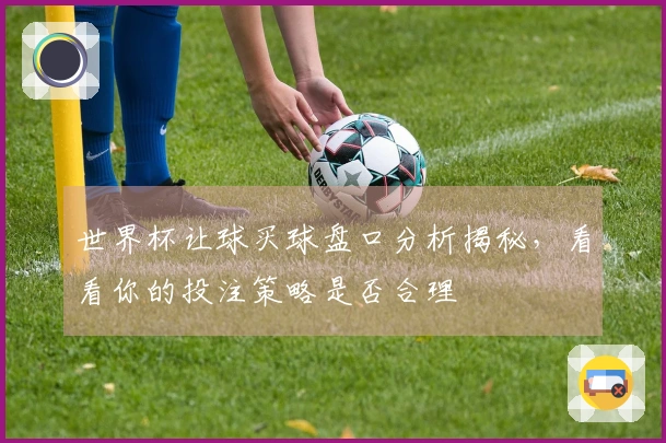 世界杯让球买球盘口分析揭秘，看看你的投注策略是否合理