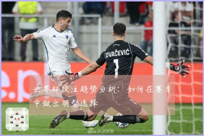 世界杯投注趋势分析：如何在赛季中做出明智选择