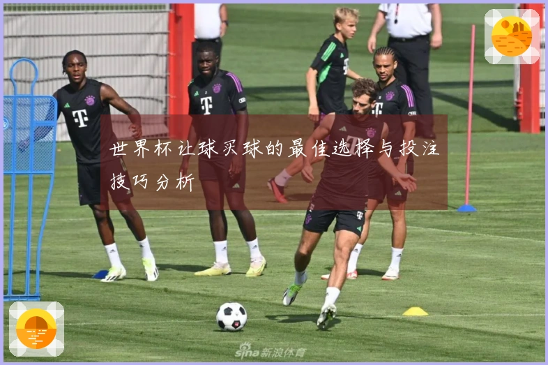 世界杯让球买球的最佳选择与投注技巧分析