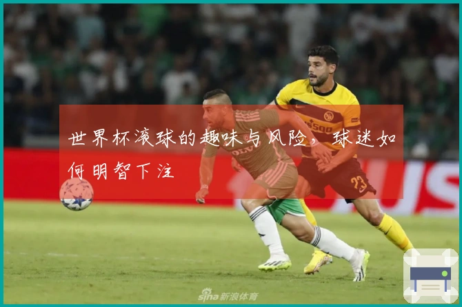 世界杯滚球的趣味与风险，球迷如何明智下注